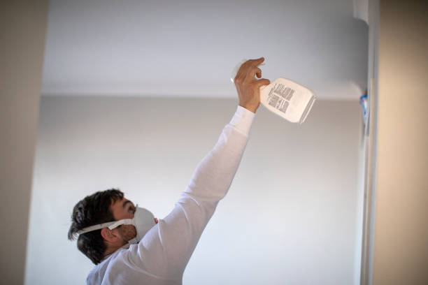 Best Attic Mold Remediation in University, MS