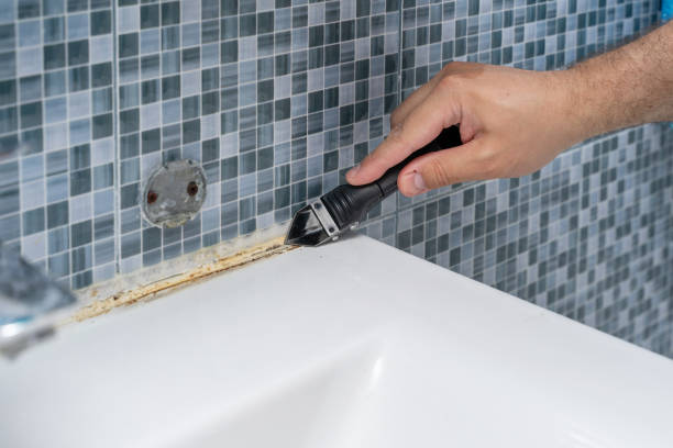 University, MS Mold Remediation Company